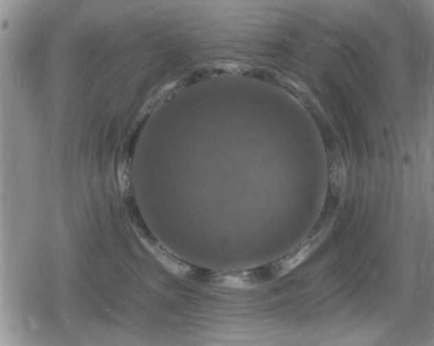 X0000080690285200612221100