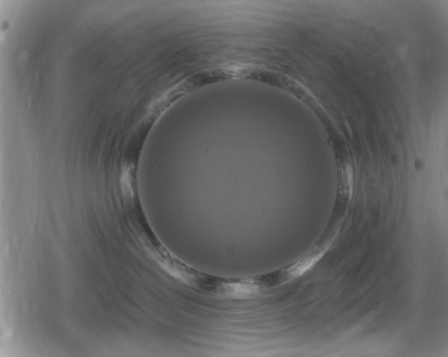 X0000080690286200612221100