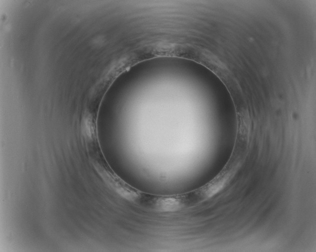 X0000080690287200612221100