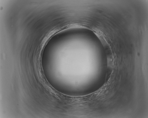 X0000080690289200612221059