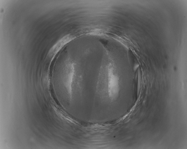 X0000080690290200612221059