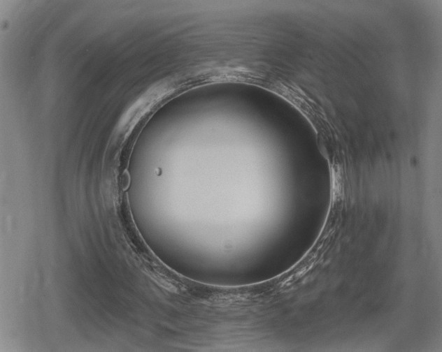 X0000080690291200612221059