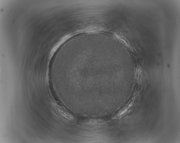 X0000080690292200612221059