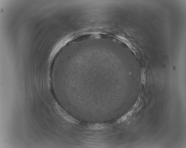 X0000080690293200612221059