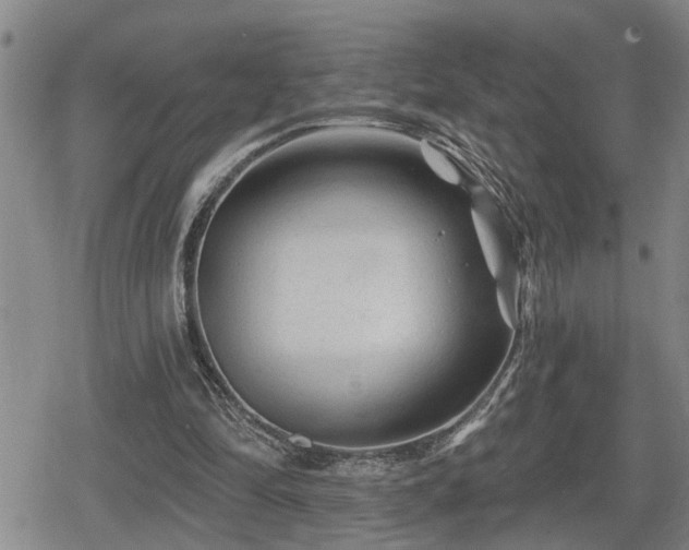 X0000080690294200612221059