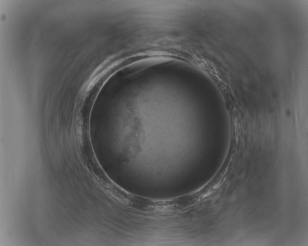 X0000080690295200612221059