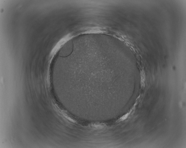 X0000080690296200612221059