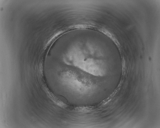 X0000080690297200612221059