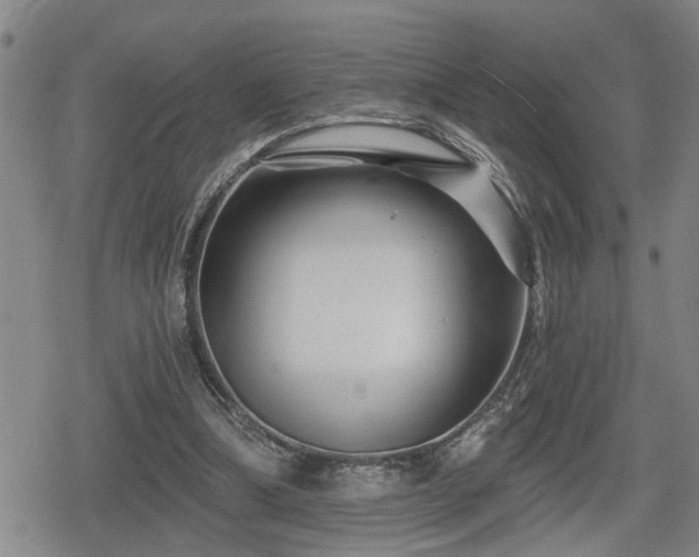 X0000080690298200612221059