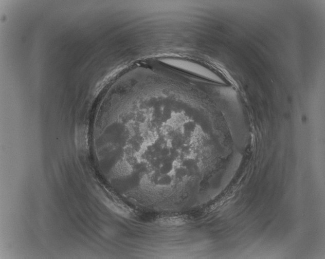 X0000080690299200612221059