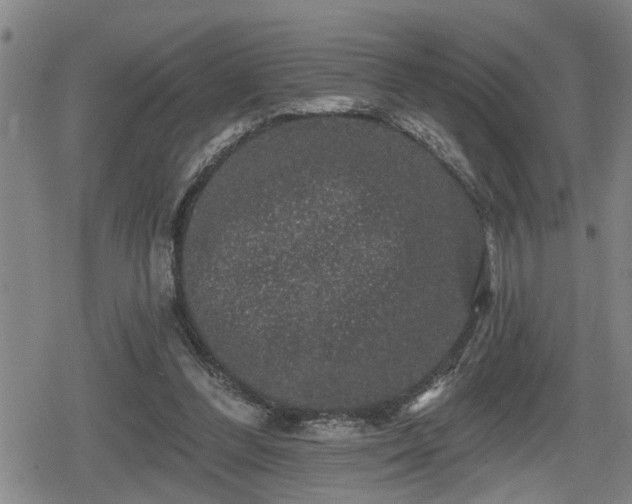 X0000080690300200612221059