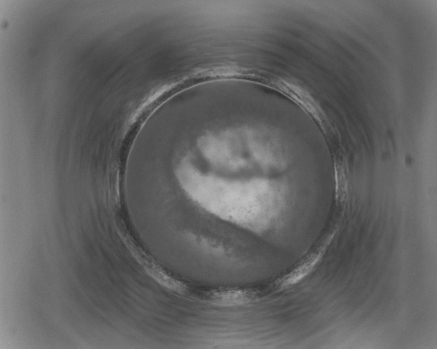 X0000080690301200612221059