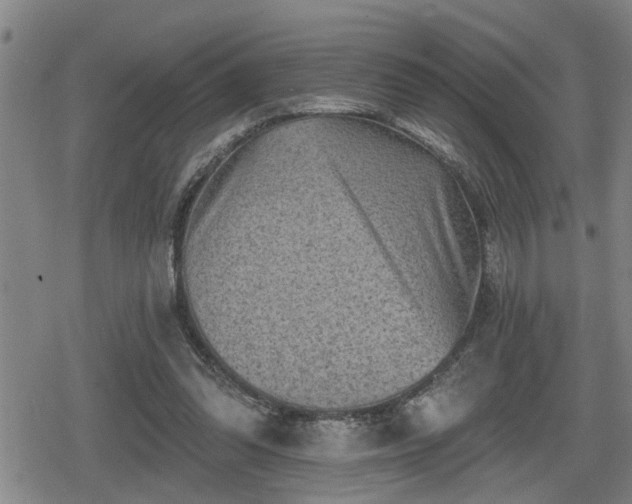 X0000080690302200612221059