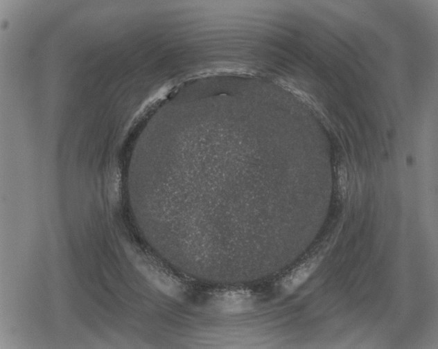 X0000080690304200612221059