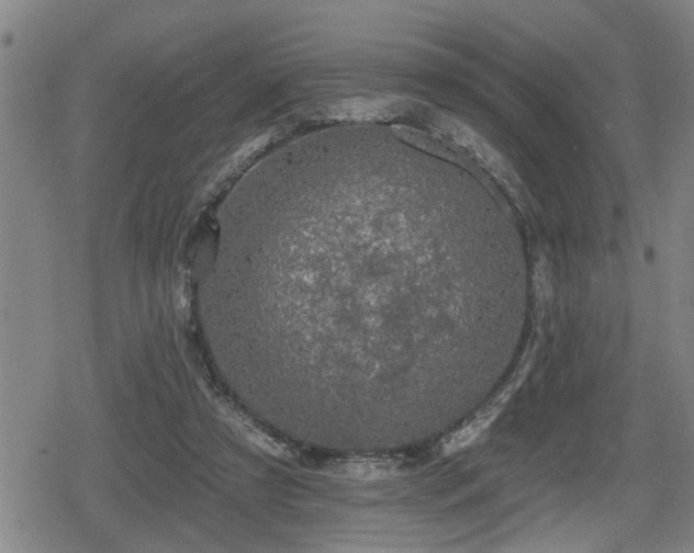 X0000080690305200612221059