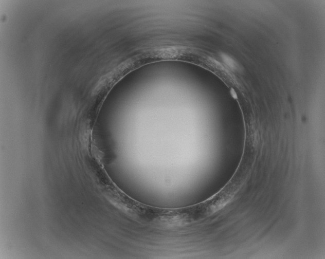 X0000080690307200612221059