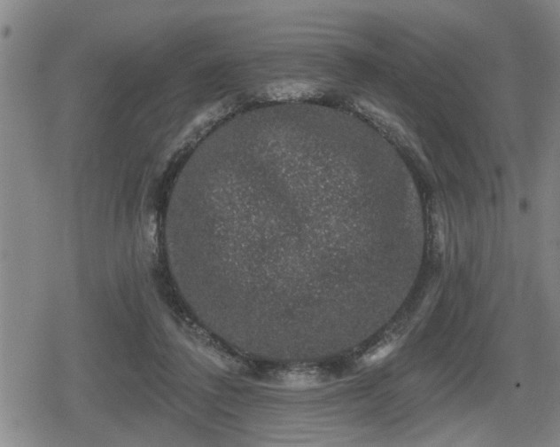 X0000080690308200612221059