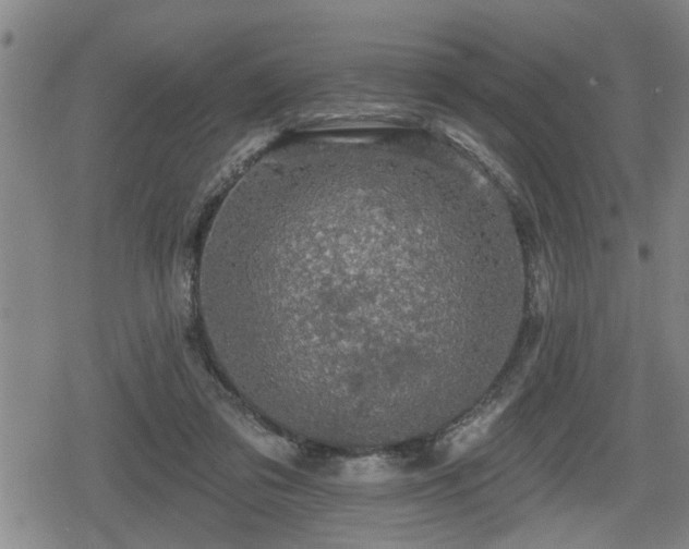 X0000080690309200612221059