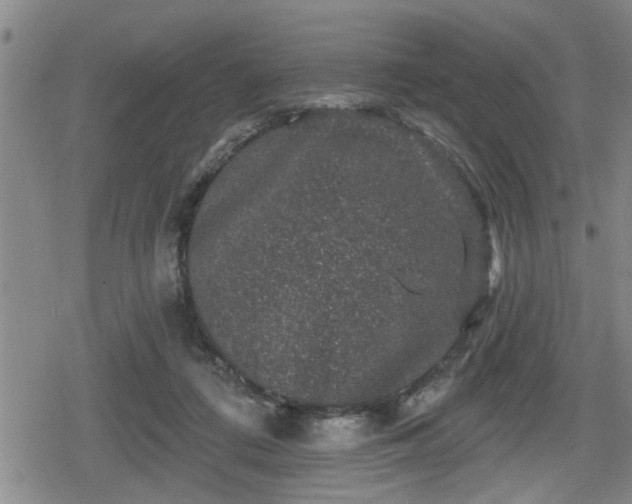 X0000080690312200612221059