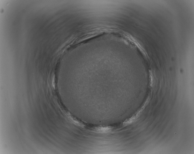 X0000080690313200612221059