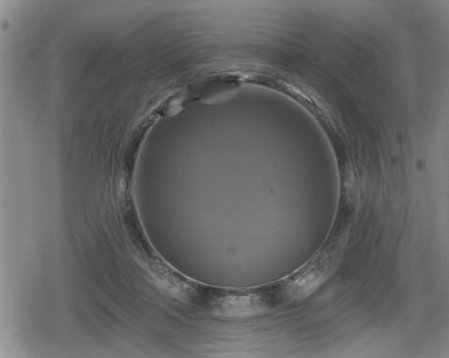 X0000080690314200612221059