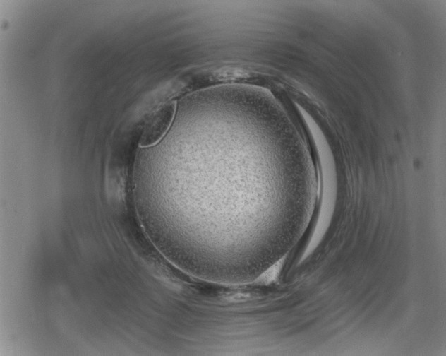 X0000080690315200612221059