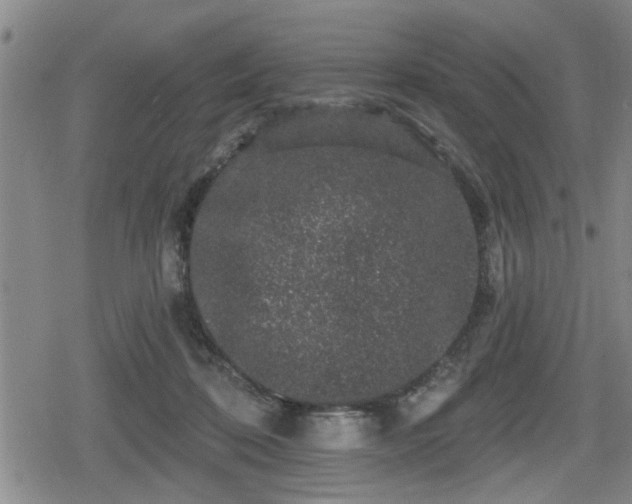 X0000080690316200612221059