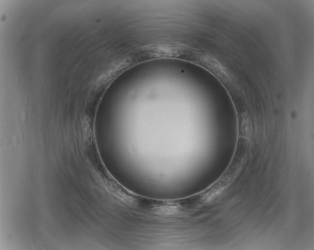 X0000080690318200612221059