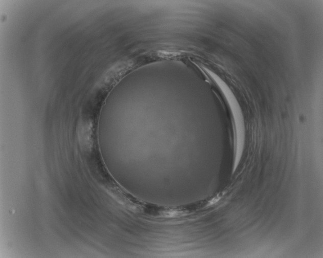 X0000080690319200612221059