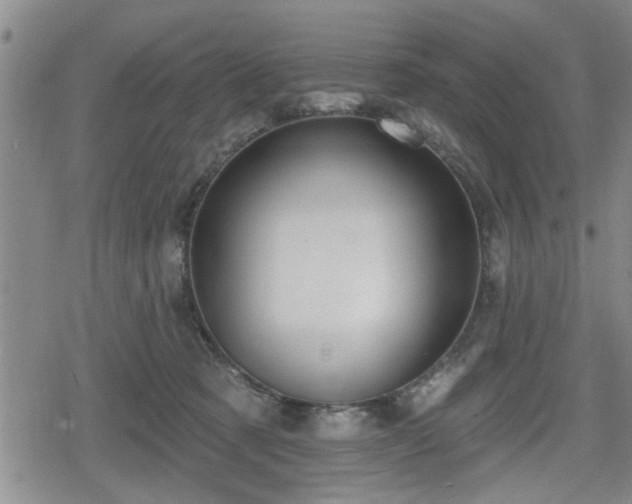 X0000080690321200612221059