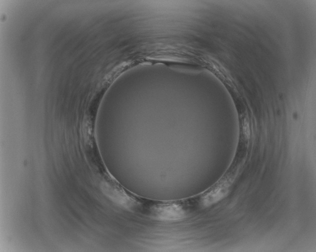 X0000080690322200612221059