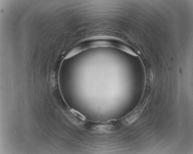 X0000080690323200612221059