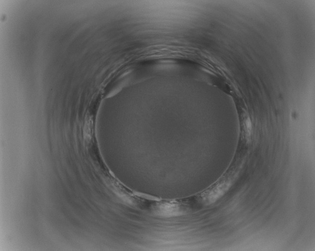 X0000080690325200612221059