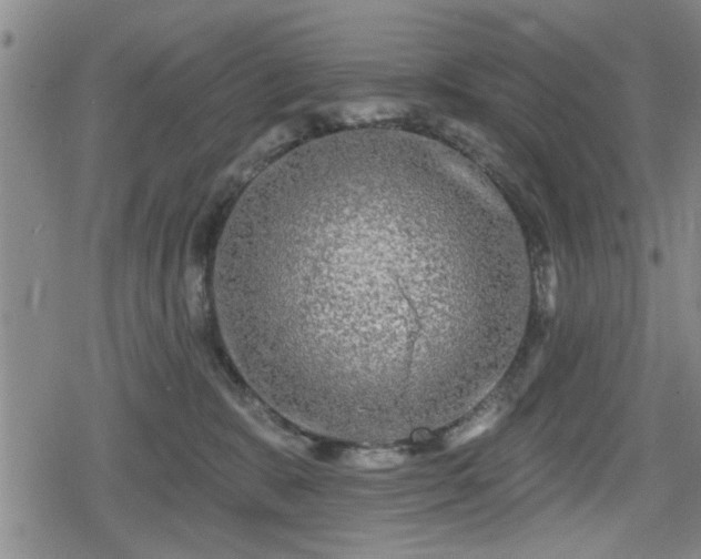 X0000080690327200612221059