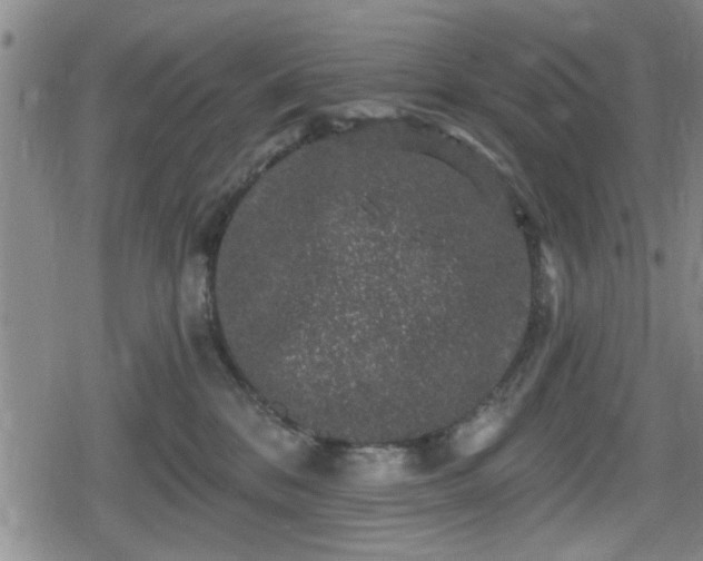 X0000080690328200612221059