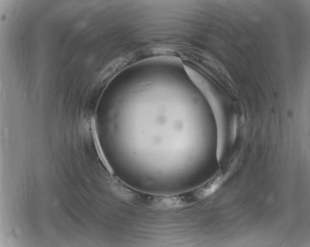 X0000080690329200612221059