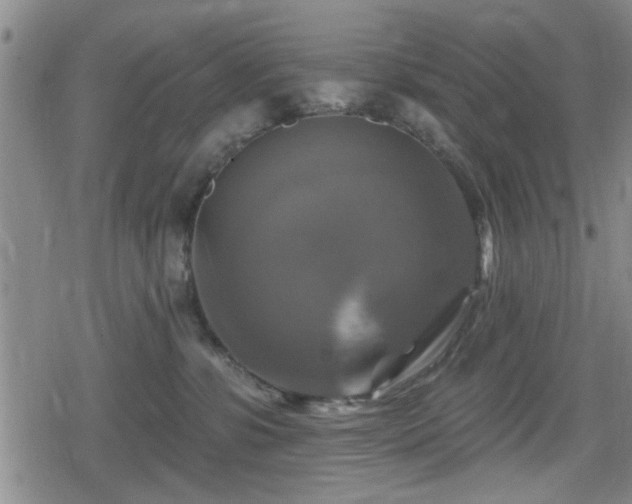 X0000080690331200612221059