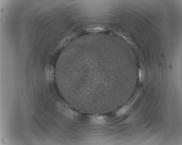 X0000080690332200612221059