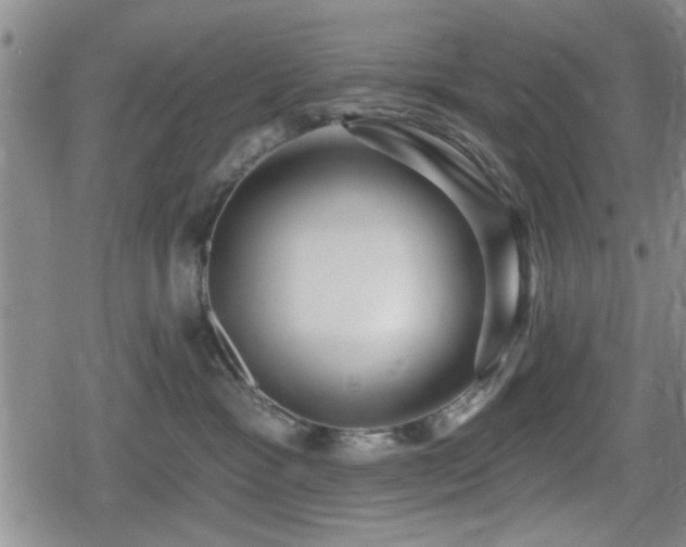 X0000080690333200612221059