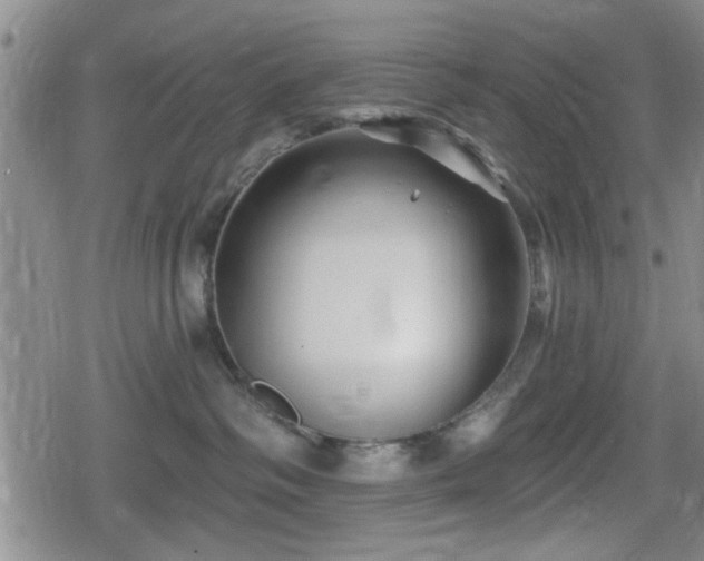 X0000080690334200612221059