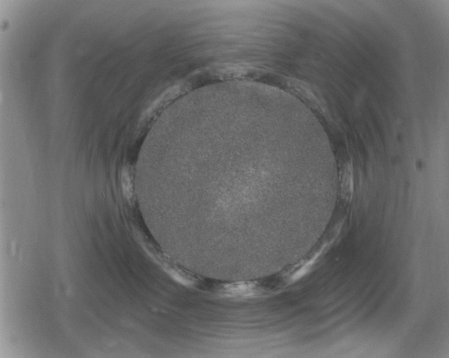 X0000080690335200612221059