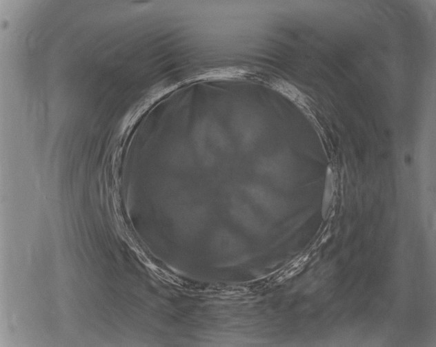 X0000080690337200612221058