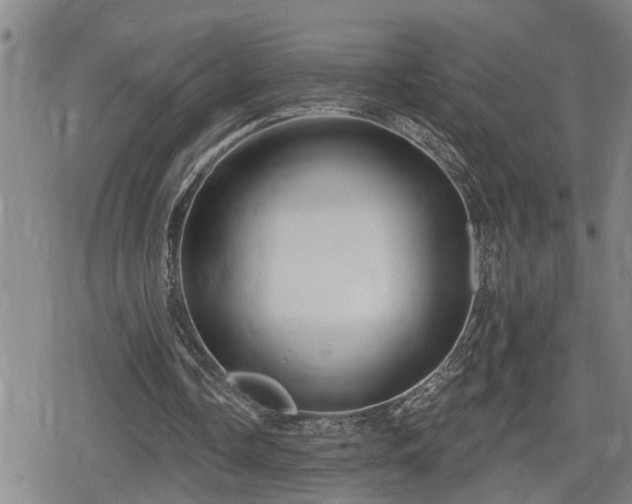 X0000080690338200612221058