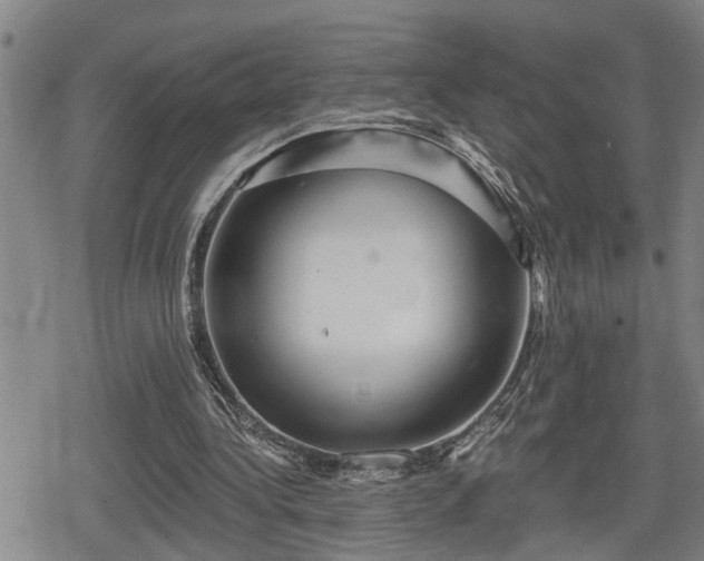 X0000080690340200612221058