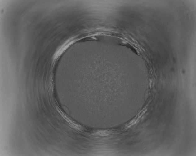 X0000080690341200612221058