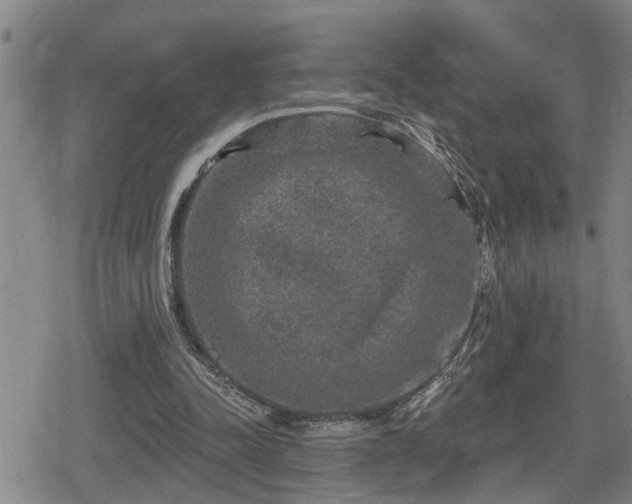 X0000080690342200612221058