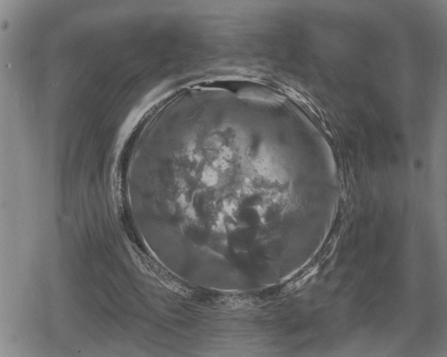 X0000080690343200612221058