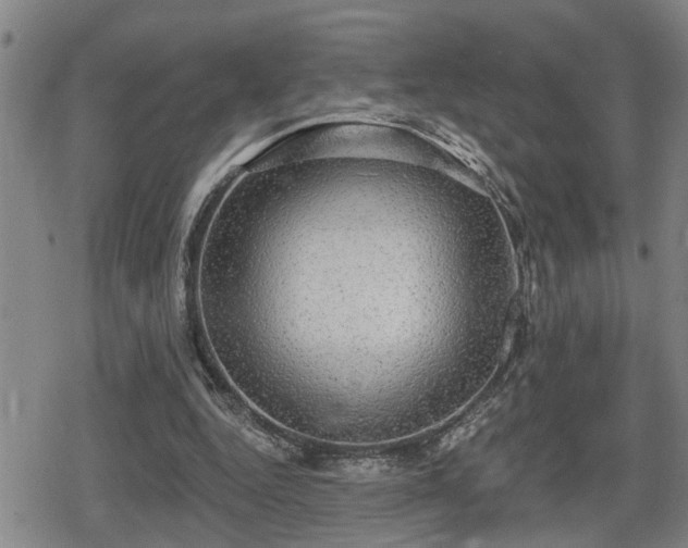 X0000080690344200612221058