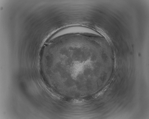 X0000080690346200612221058