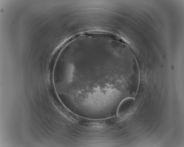 X0000080690347200612221058